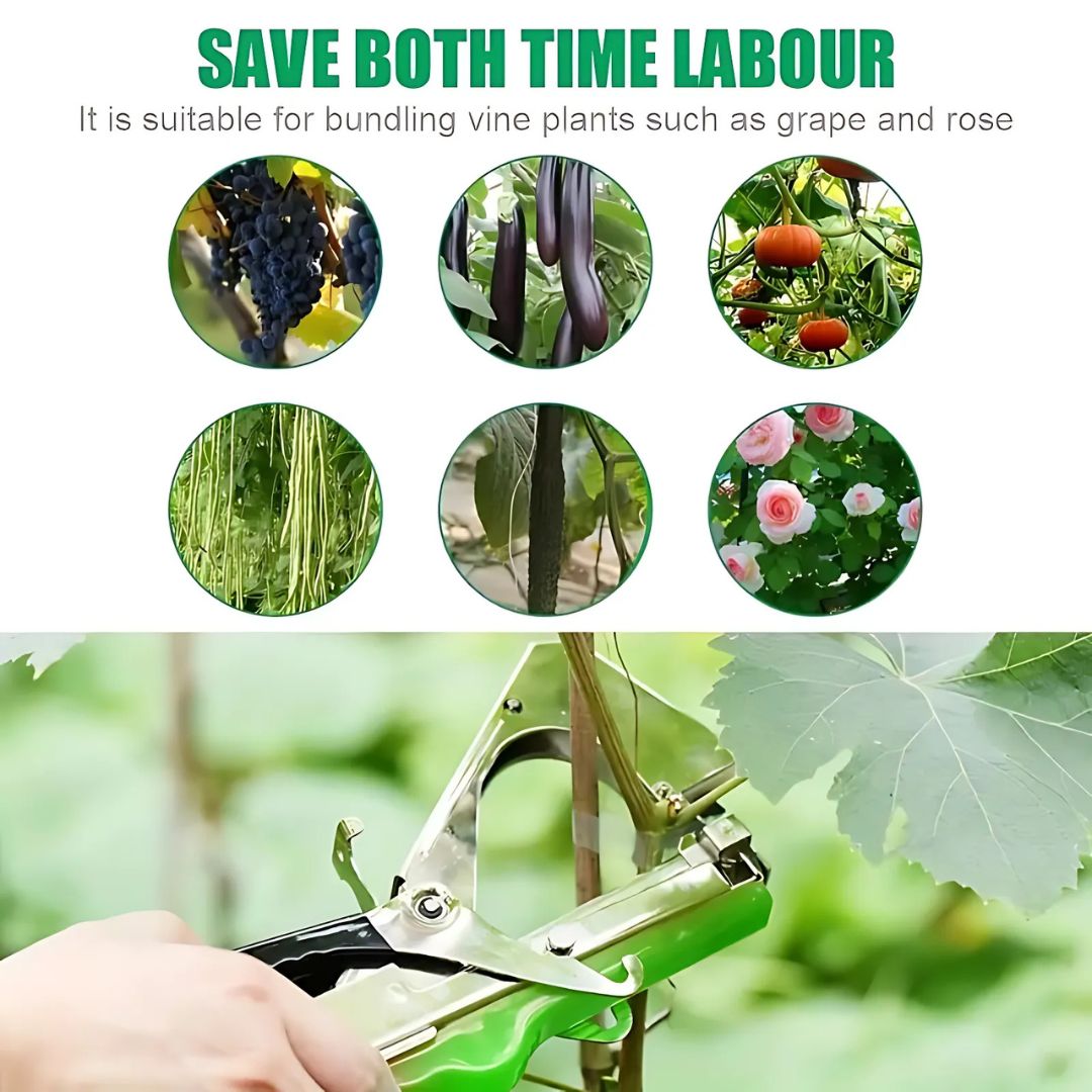 Revolutionary Branch Tie