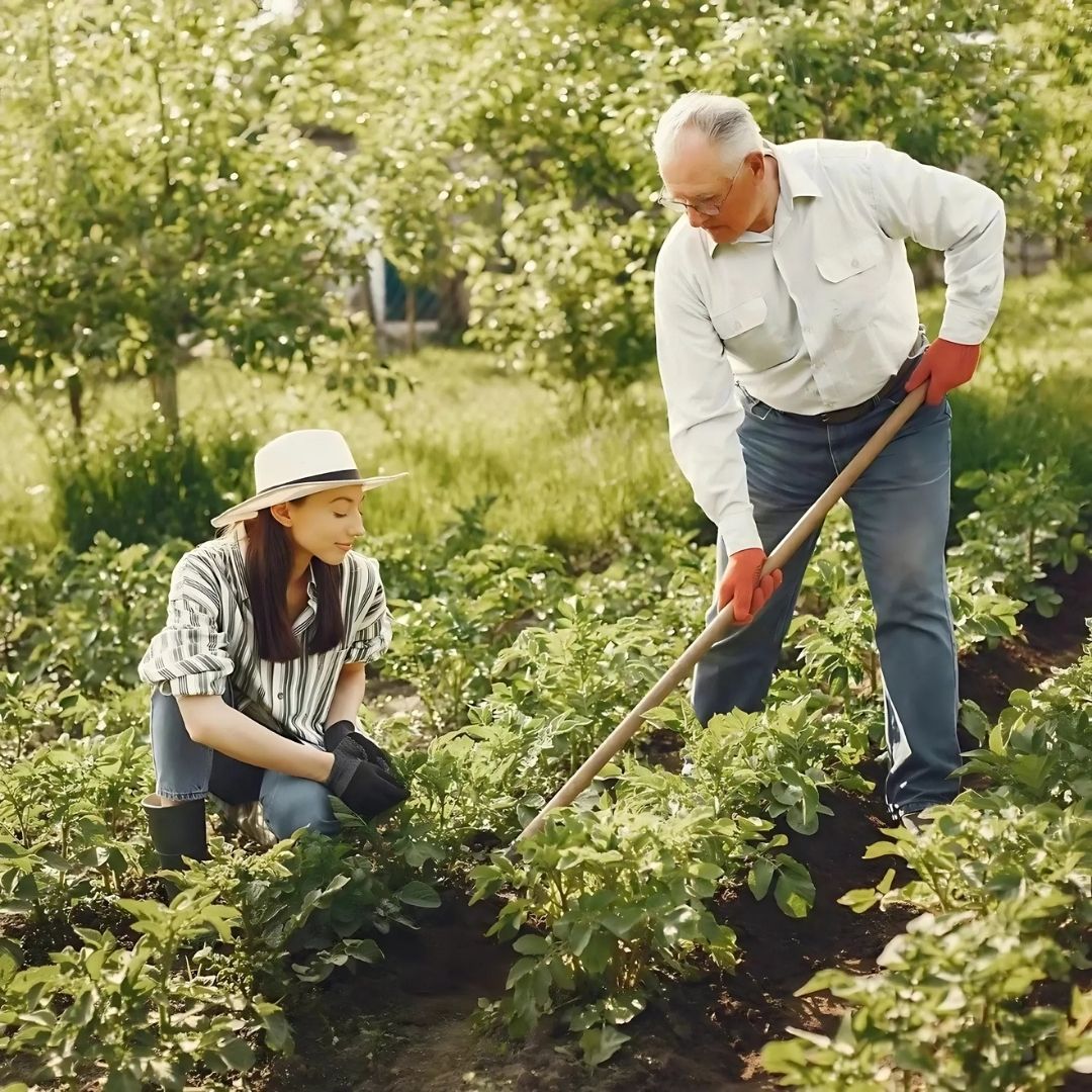 Gardening Wooden Handle (88 cm)