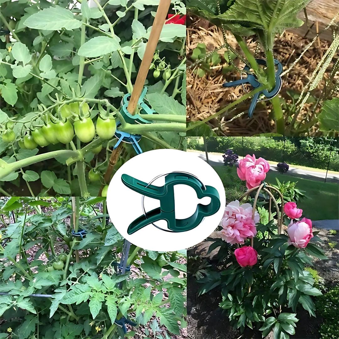 20 Reusable Secure Plant Clips
