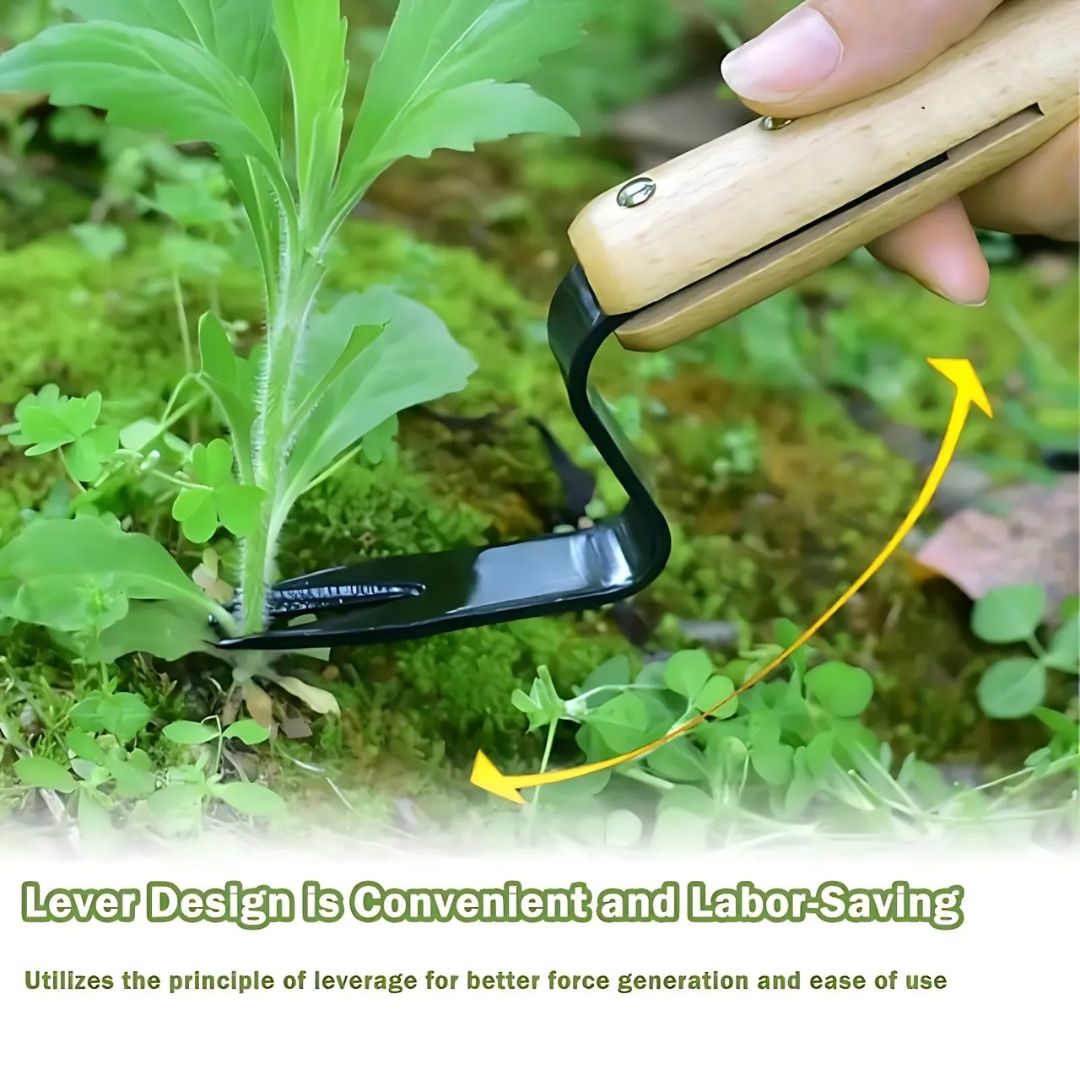 Handheld Weeder Tool