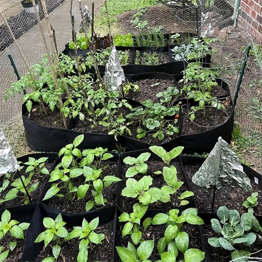 Extra-Large 8-Grid Raised Garden Bed Kit