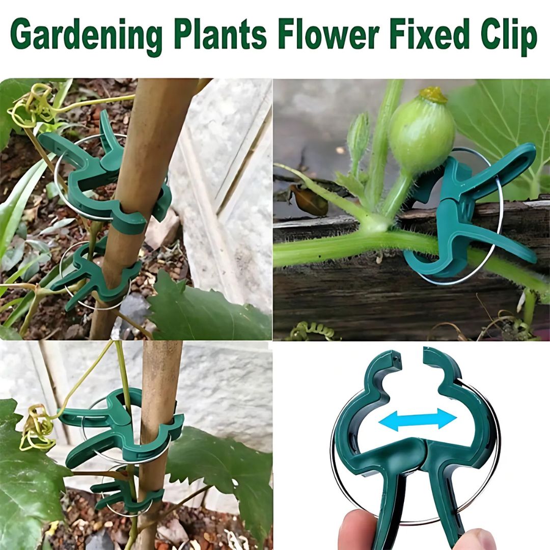 20 Reusable Secure Plant Clips