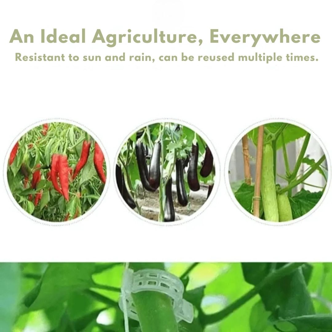 Plant Support Clips