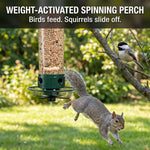 Weight-activated spinning perch: squirrels slide off