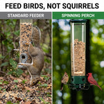 Feed birds, not squirrels