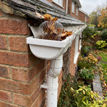 Gutter guard fitted in a downpipe catching autumn leaves