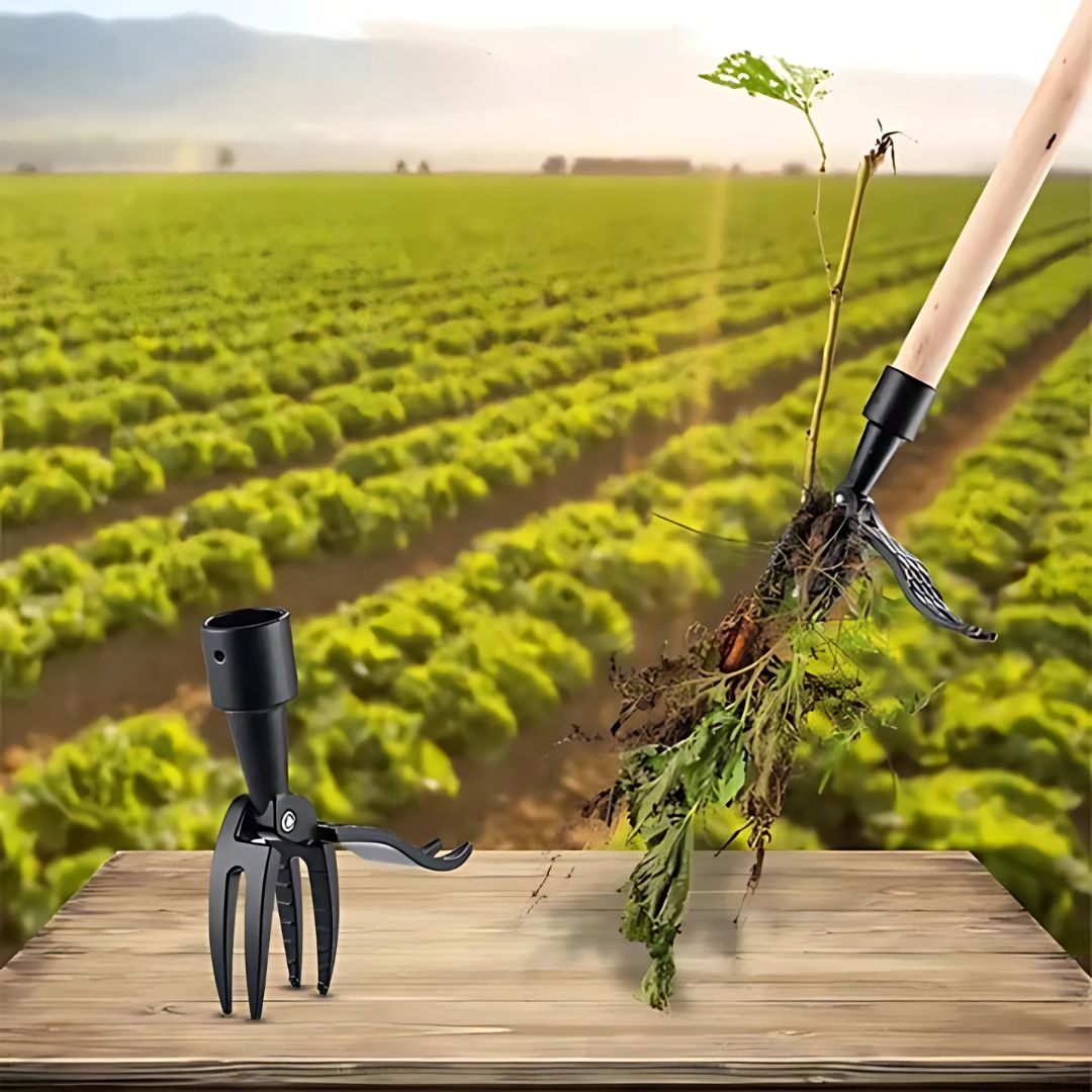 Revolutionary Weeding Tool