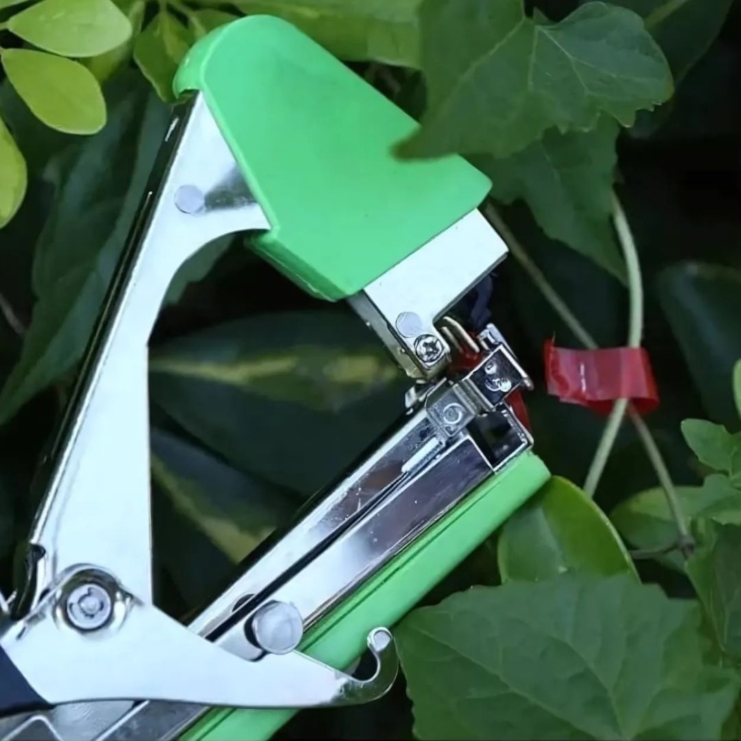 Revolutionary Branch Tie