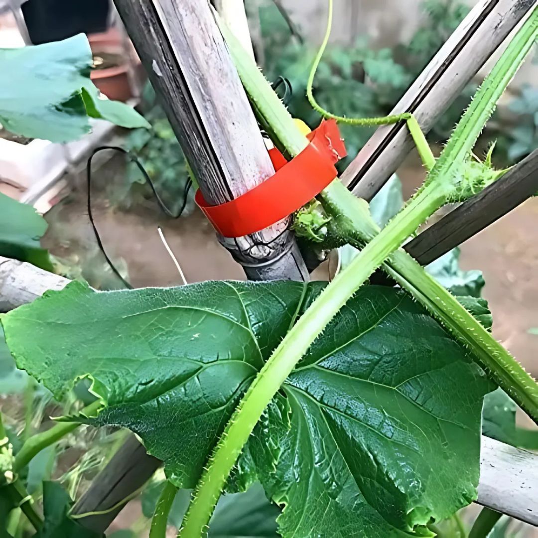 Revolutionary Branch Tie