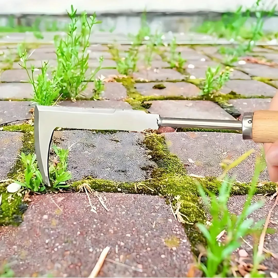 Stainless Steel Weeding Tool