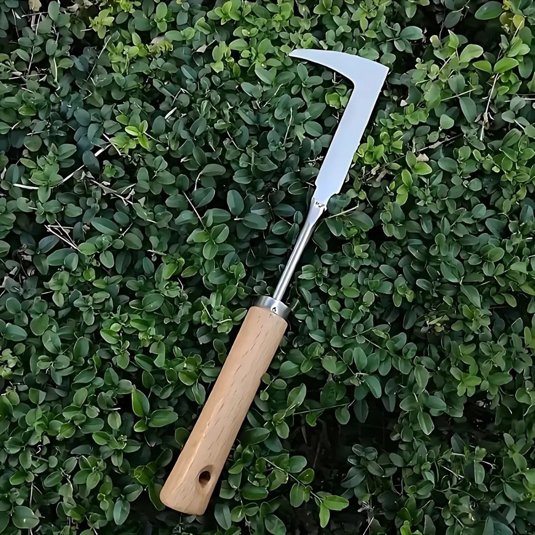 Stainless Steel Weeding Tool