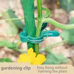 20 Reusable Secure Plant Clips