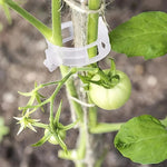 Plant Support Clips