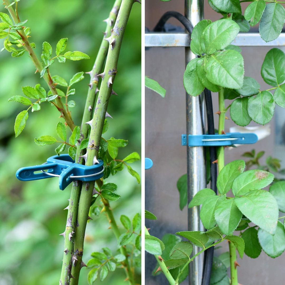 20 Reusable Secure Plant Clips