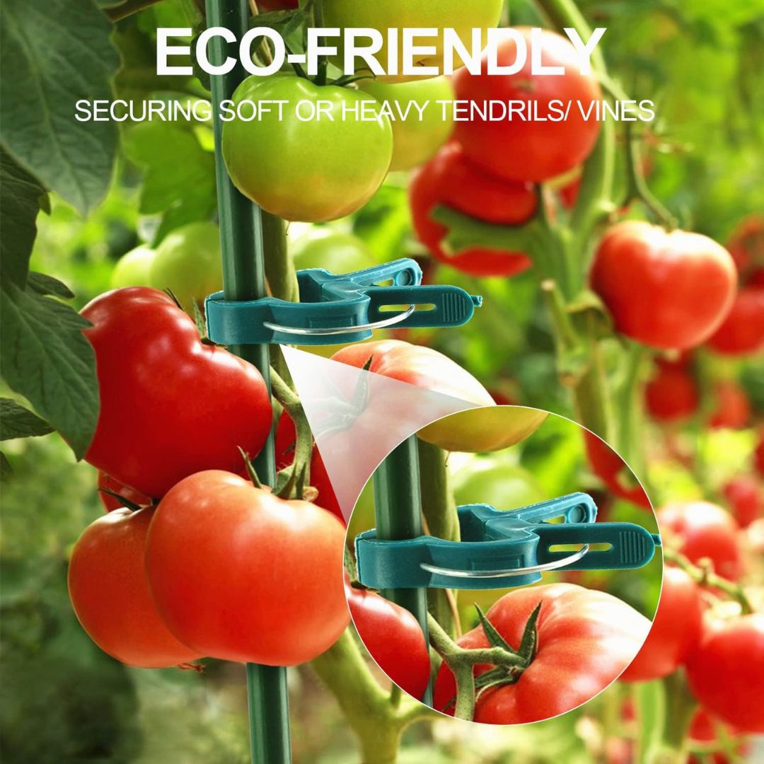 20 Reusable Secure Plant Clips