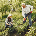 Gardening Wooden Handle (88 cm)