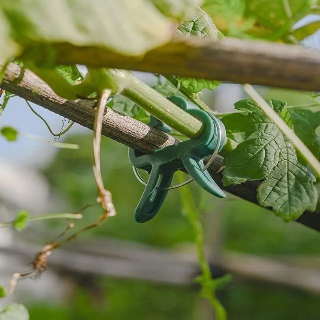 20 Reusable Secure Plant Clips