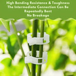 Plant Support Clips