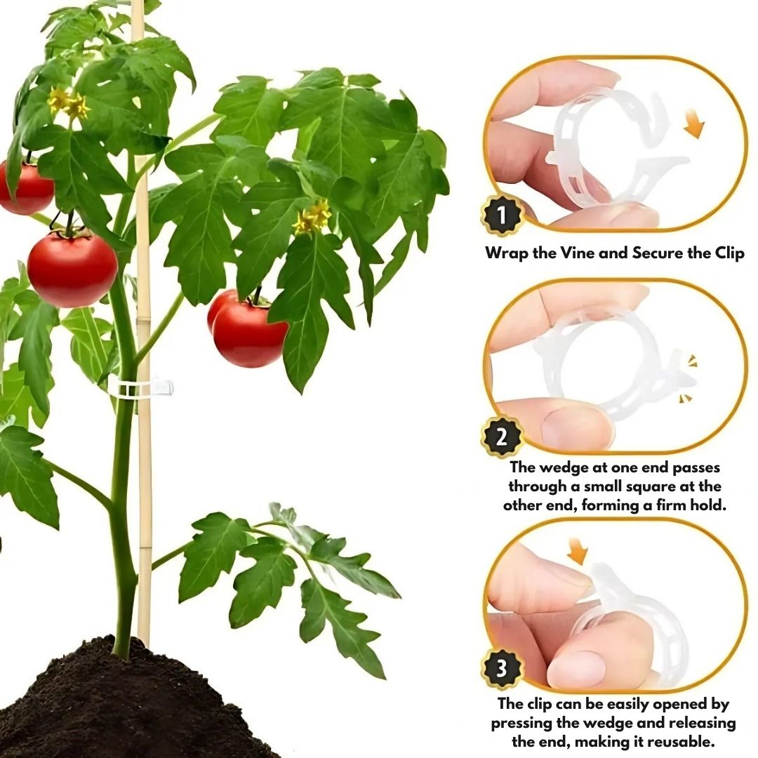 Plant Support Clips