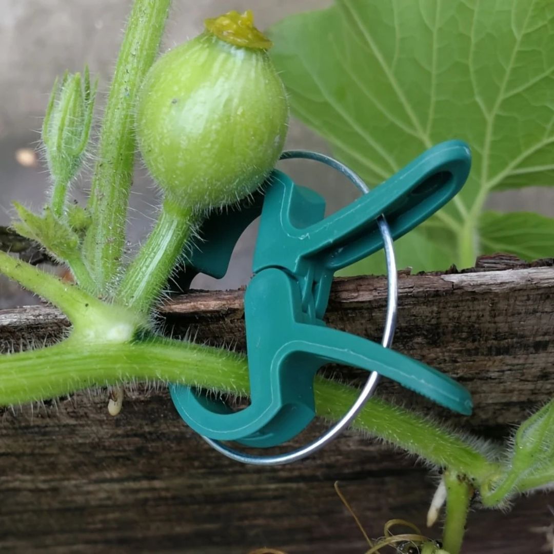 20 Reusable Secure Plant Clips