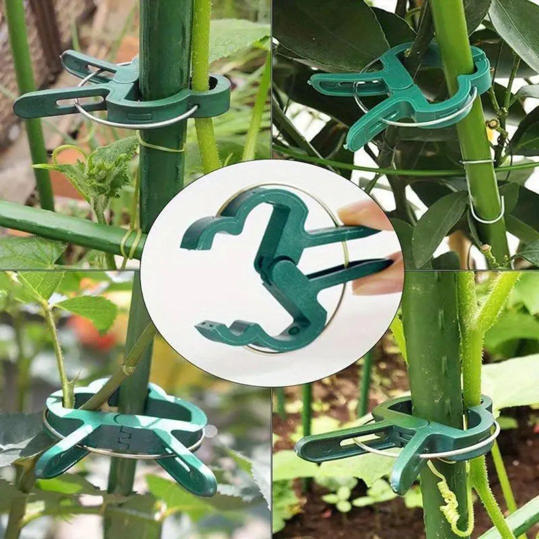 20 Reusable Secure Plant Clips