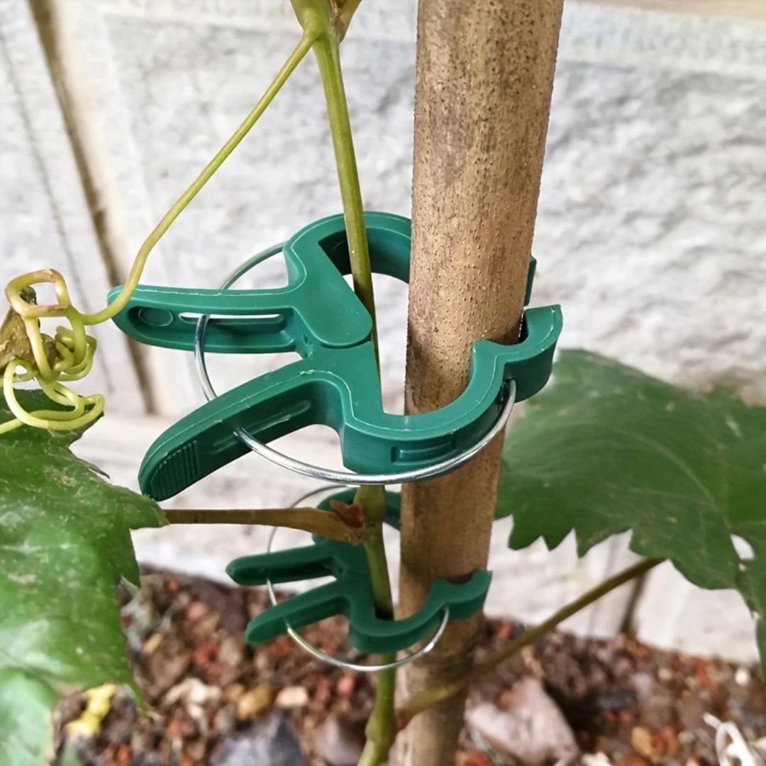 20 Reusable Secure Plant Clips