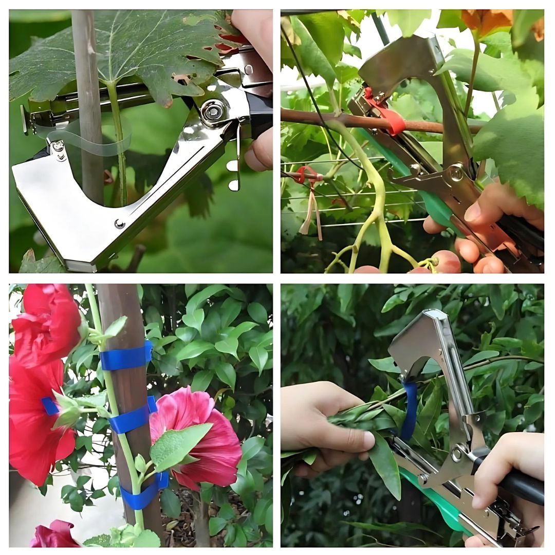 Revolutionary Branch Tie