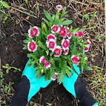 Gardening Gloves