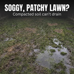 Soggy, patchy compacted lawn