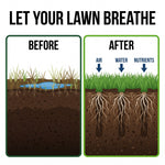 Before and after: air, water and nutrients reach the roots