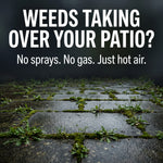 Weeds taking over a patio