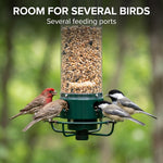 Room for several birds at once