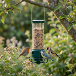 Bird feeder hanging in a garden with a robin, blue tit and goldfinch