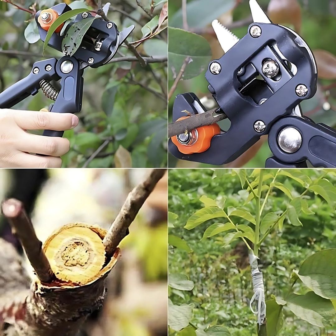 Professional Grafting Shears