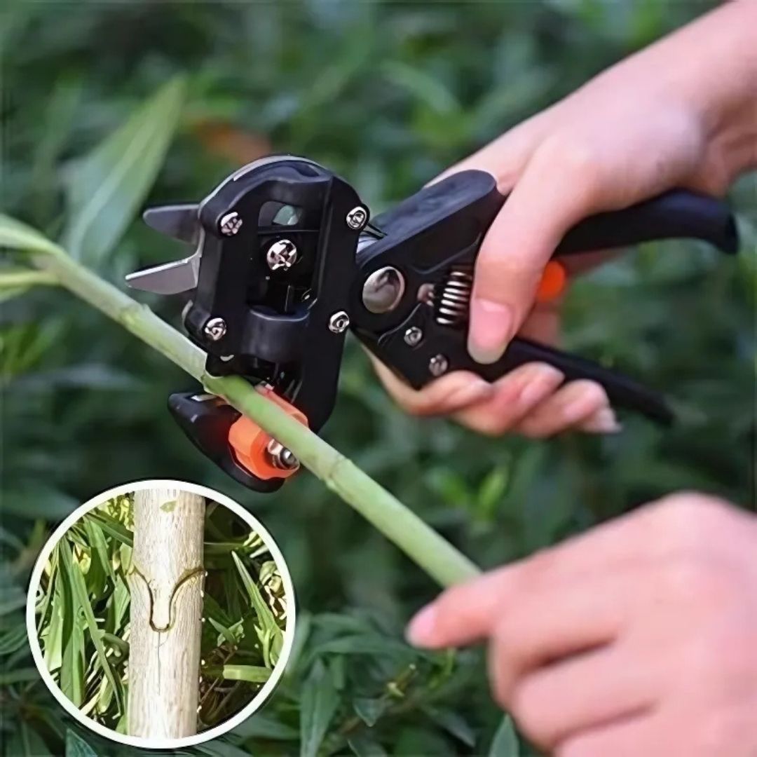 Professional Grafting Shears