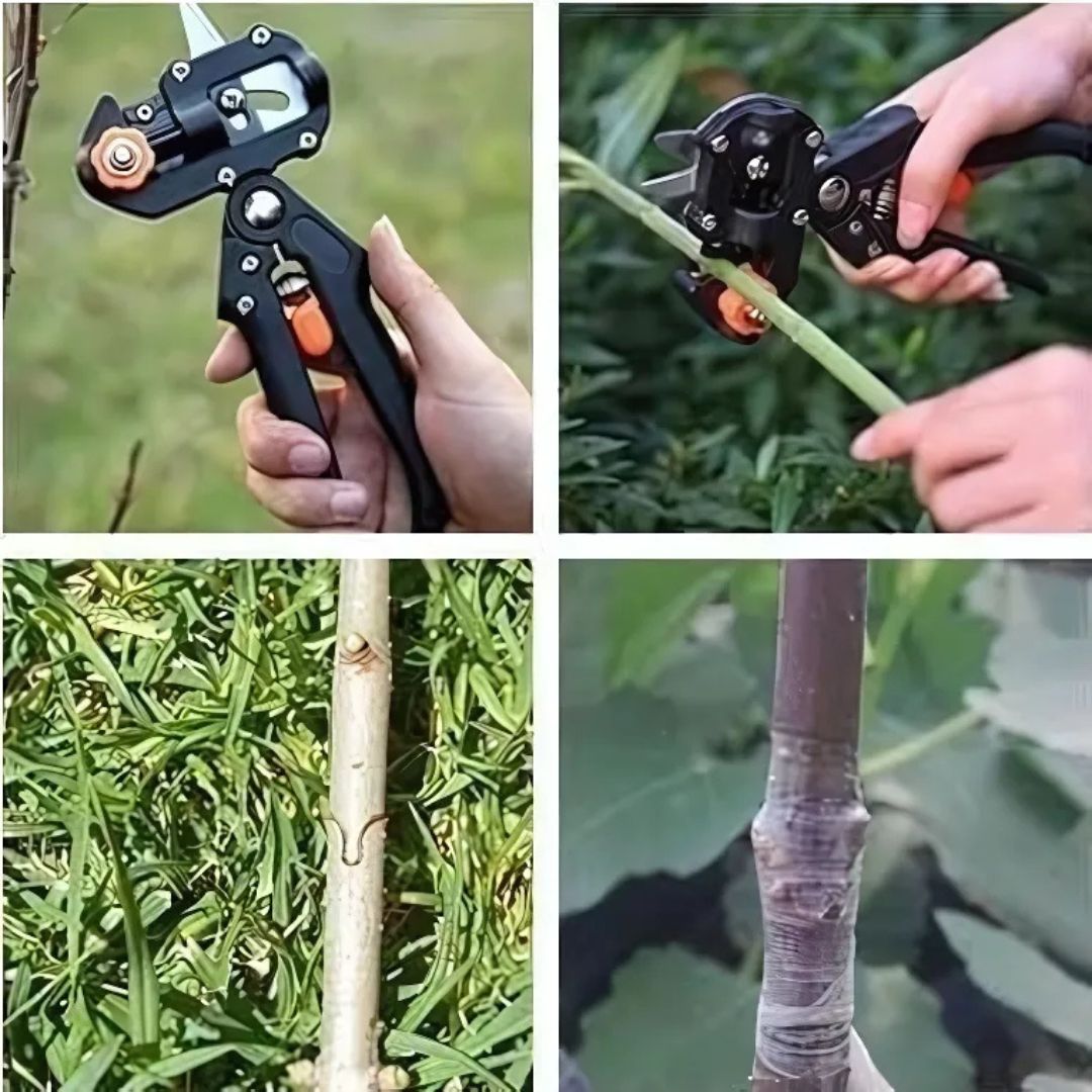 Professional Grafting Shears