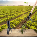 Revolutionary Weeding Tool